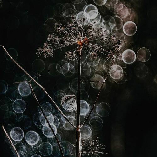 محسن اسفندیاری تو خو دونی داغونوم بی دلوم بازی نکن من ای حالی که تو داری